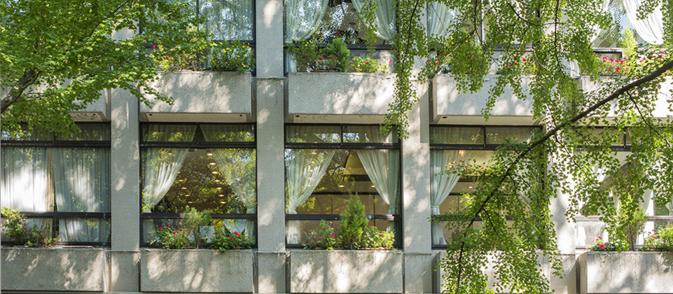 Hibiya Window