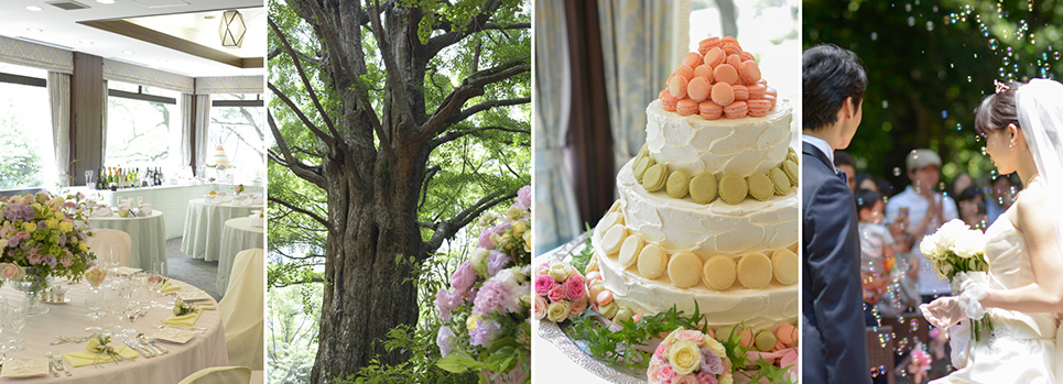 images for sweet memory plan 